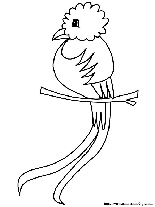imagen el quetzal