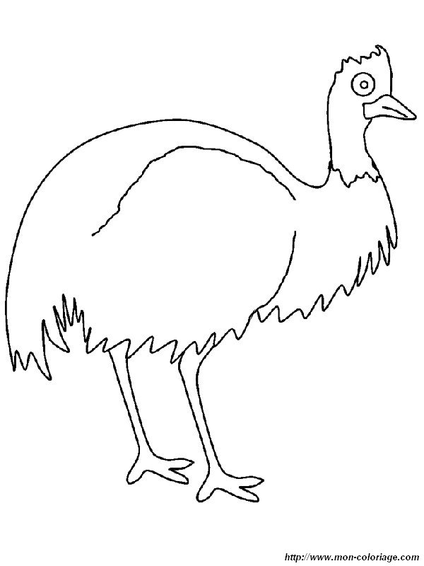 imagen un emu