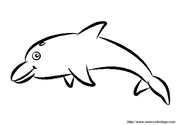 imagen dibujo de delfin