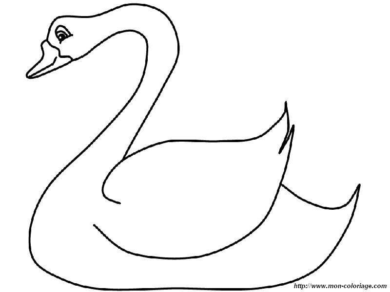 imagen cisne