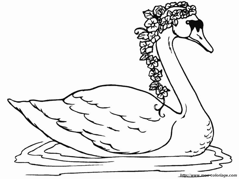 imagen cisne con flores