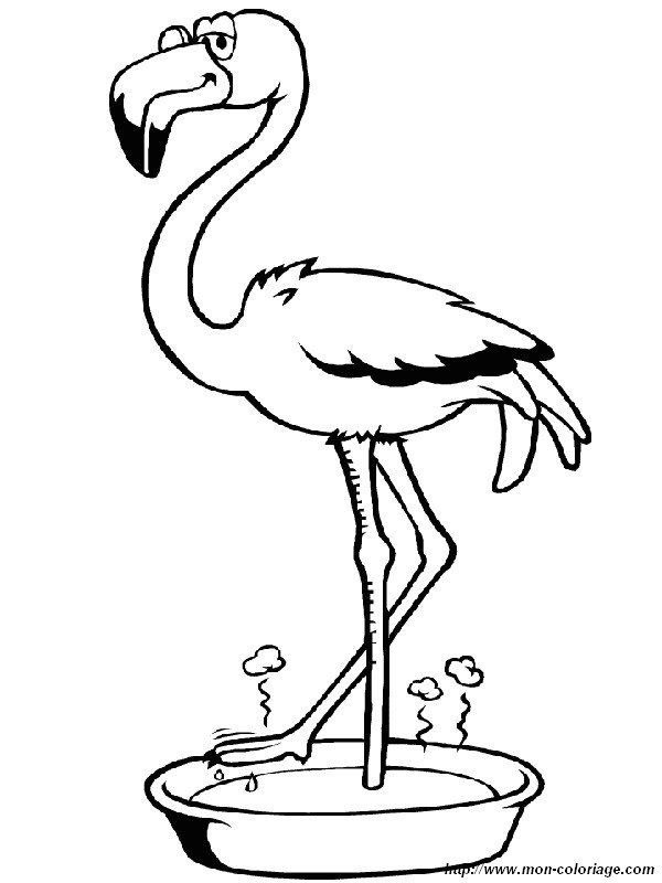 imagen flamingo gracioso