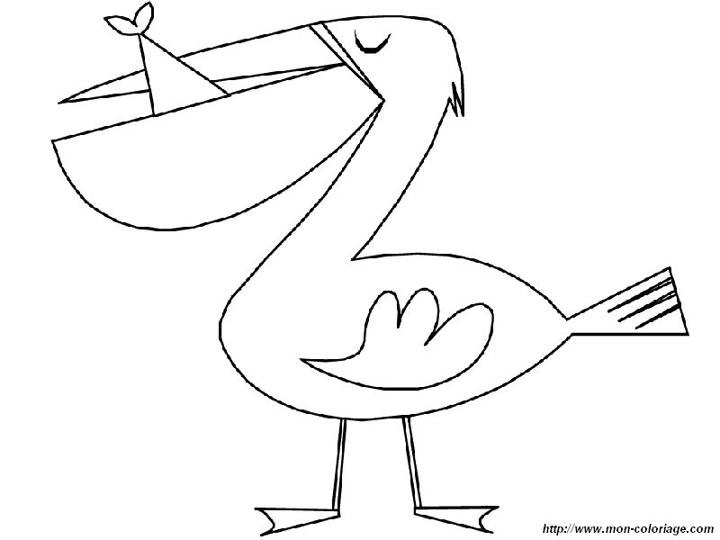 imagen un pelicano