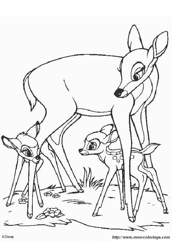 imagen Bambi 08