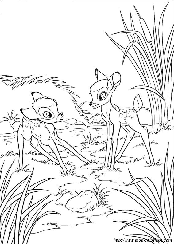 imagen Bambi 23
