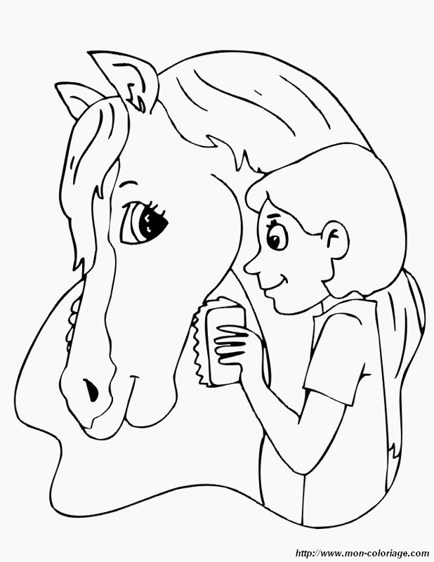 imagen un caballo feliz