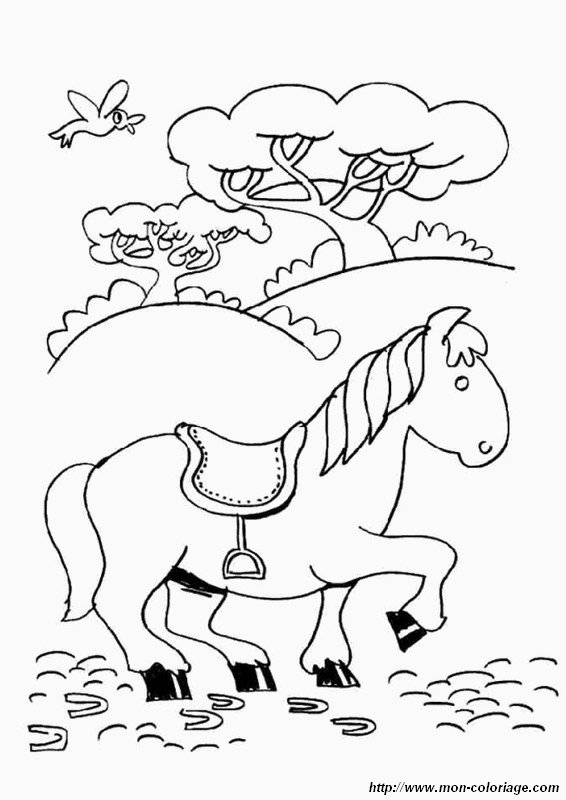 imagen un pajaro con un caballo