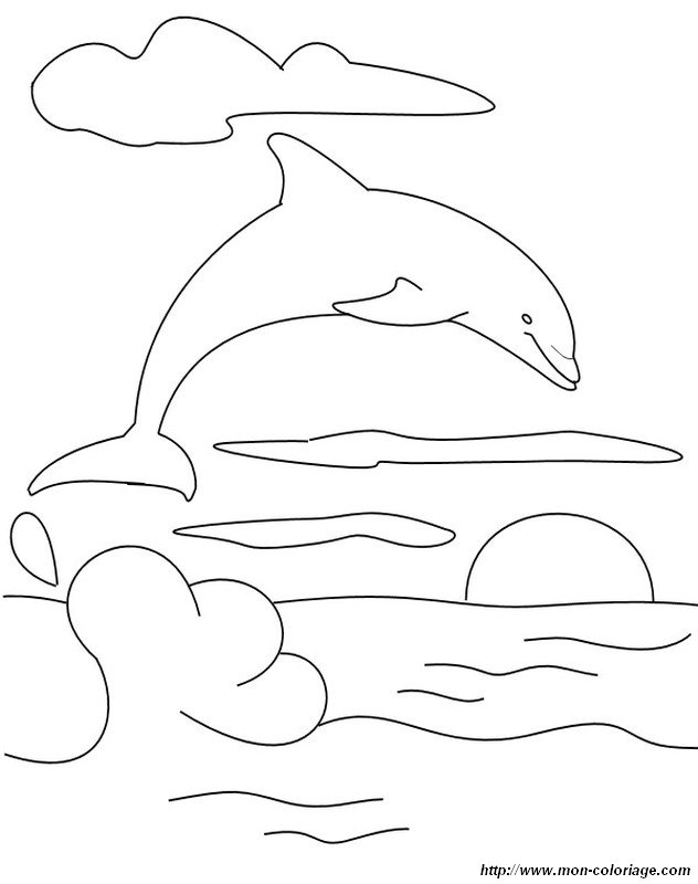 imagen delfin salto sol