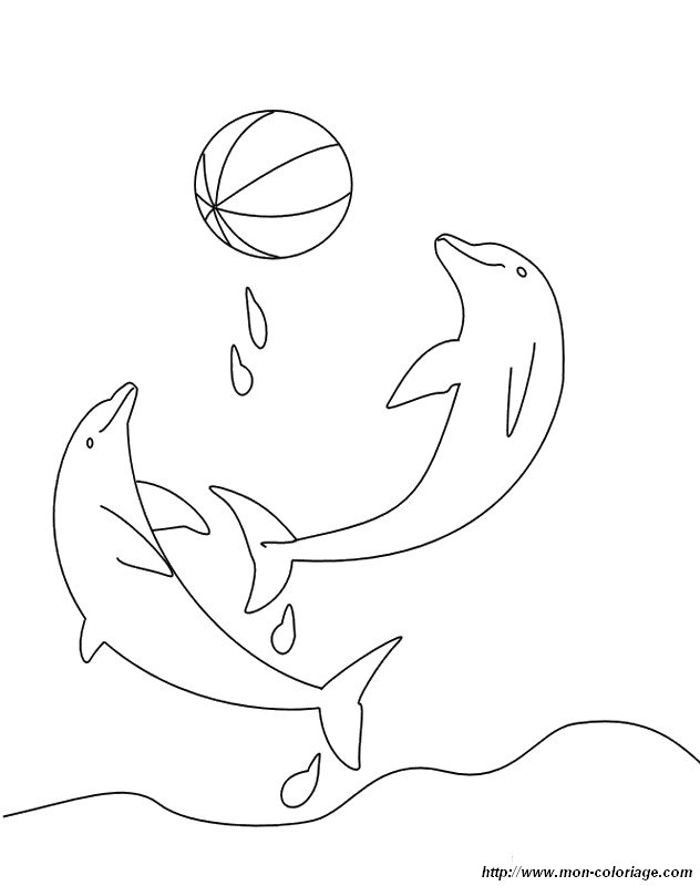 imagen delfines con un globo