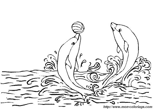 imagen dos delfines y un globo