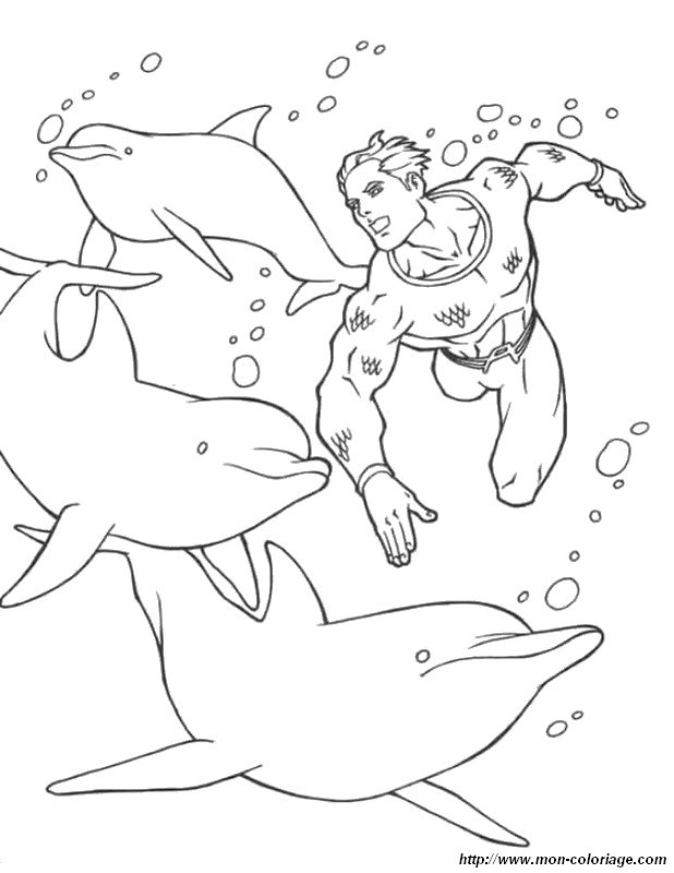 imagen el nada con delfines
