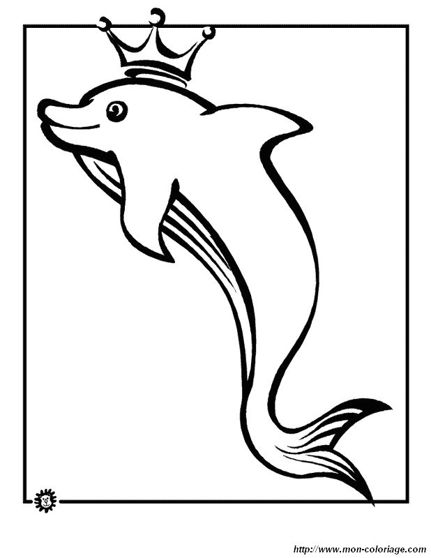 imagen el rey de los delfines