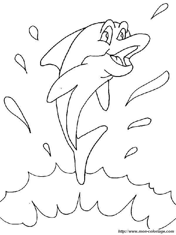 imagen estoy super delfin