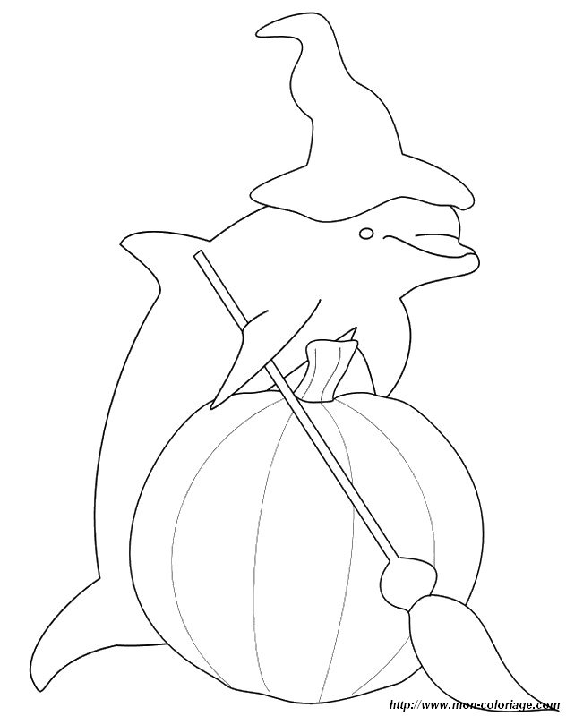imagen halloween y delfin