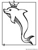 el rey de los delfines