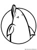 logo delfin