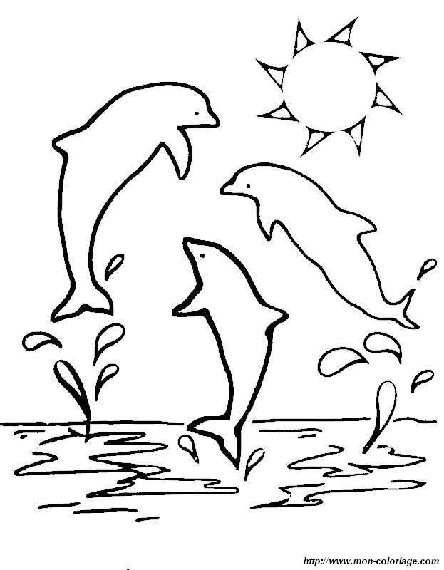 imagen tres delfines en el mar