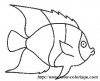 poisson2