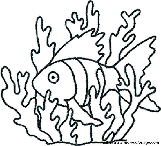 imagen poisson9