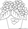 colorear flor