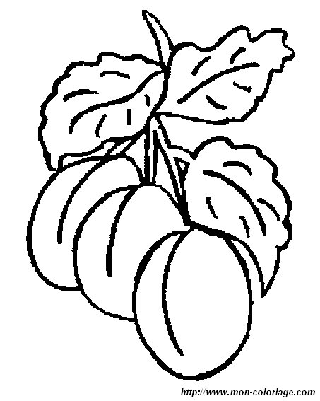 imagen dibujos frutas