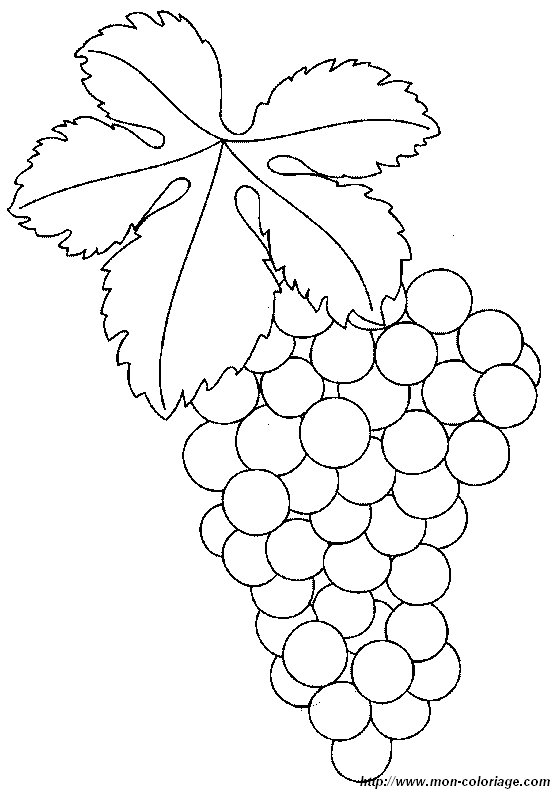 imagen uvas