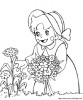 escoge flores