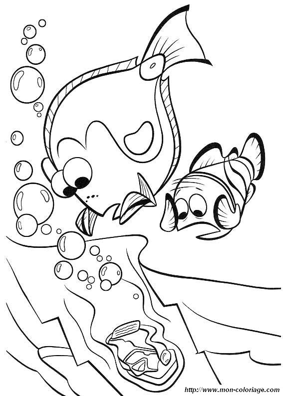 imagen nemo29