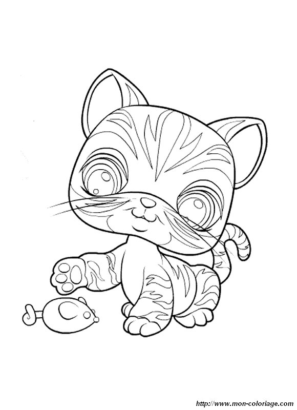 imagen petshop 7