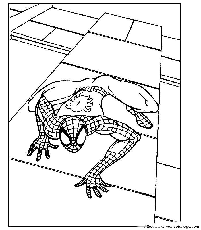 imagen imagenes spiderman