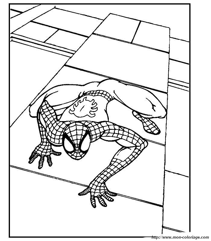 imagen imagenes spiderman