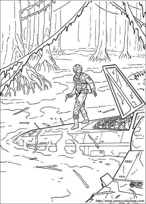 imagen luke skywalker en un pantano