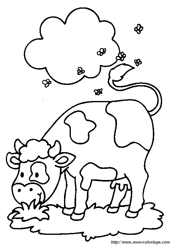 imagen vacas