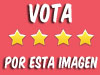 votar